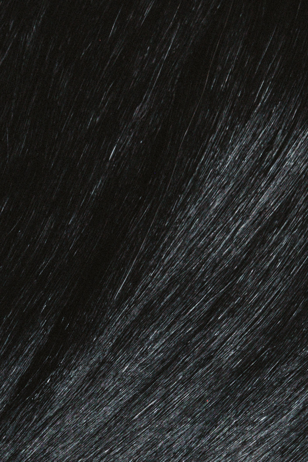 Butterfly Wefts